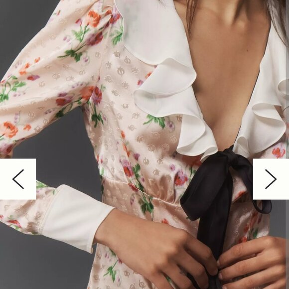 Maeve Long-Sleeve Ruffle-Front Blouse - Picture 2 of 5